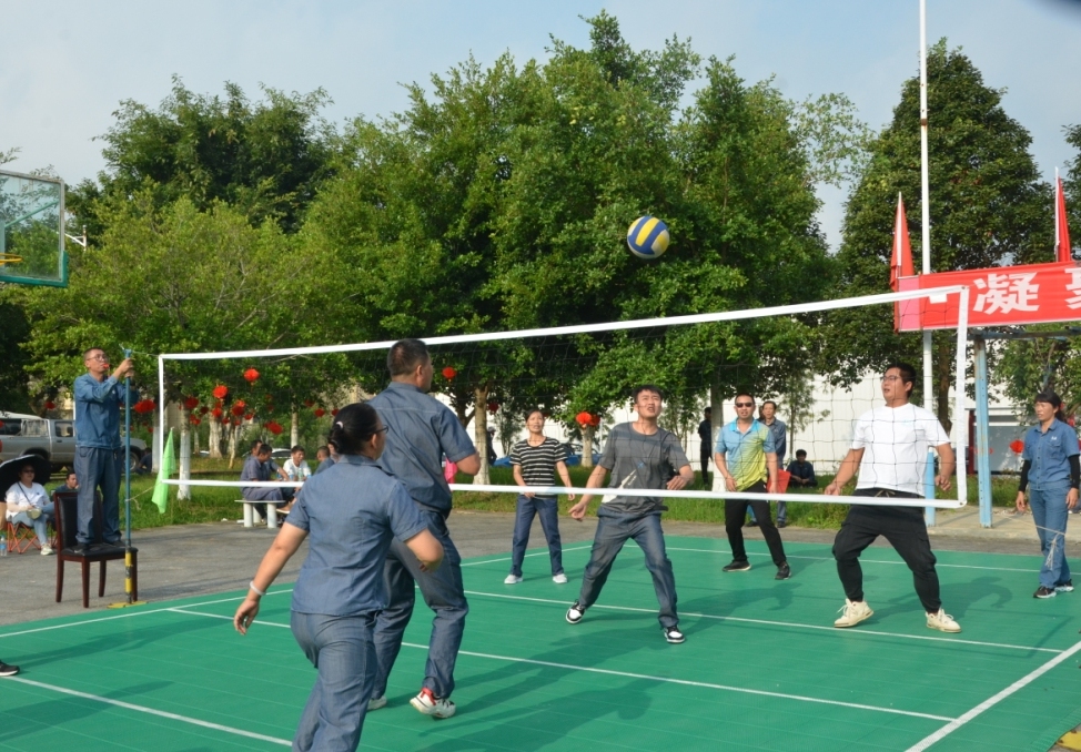 氣排球比賽.JPG