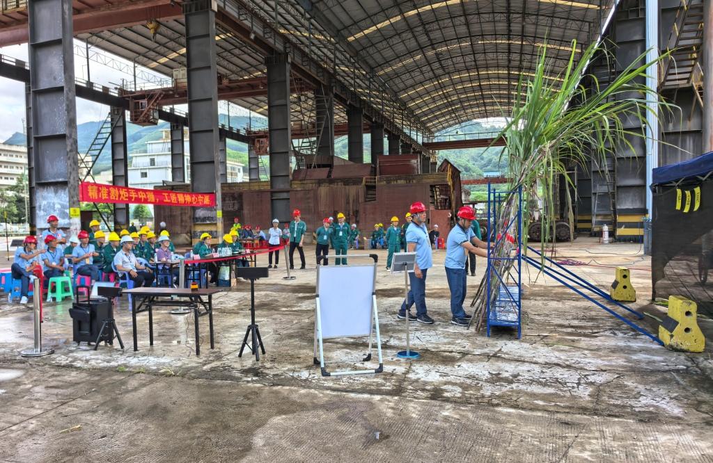 甘蔗品種鑒別項目 .jpg