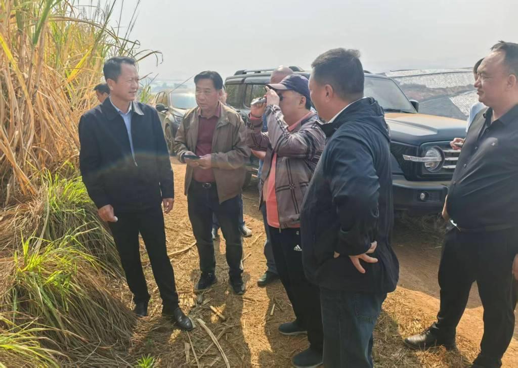 檢測(cè)甘蔗糖分.jpg 檢測(cè)甘蔗糖分.jpg